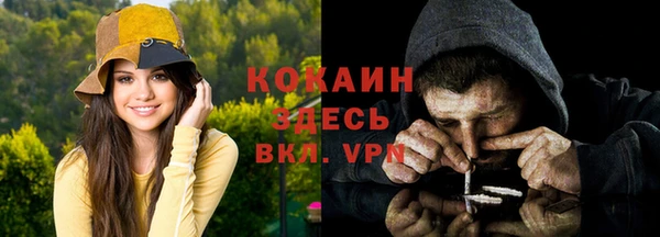 соль ск Алексеевка