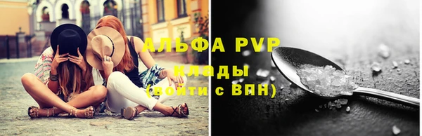 индика Заводоуковск