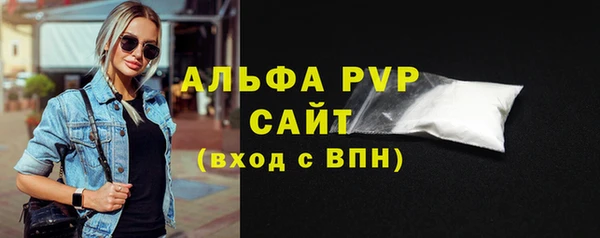 индика Арсеньев
